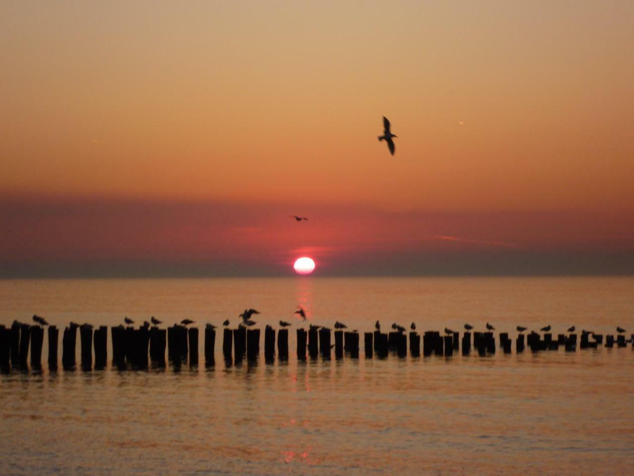 Vakantiewoning Dichtbij Centrum Domburg Do13 Luaran gambar